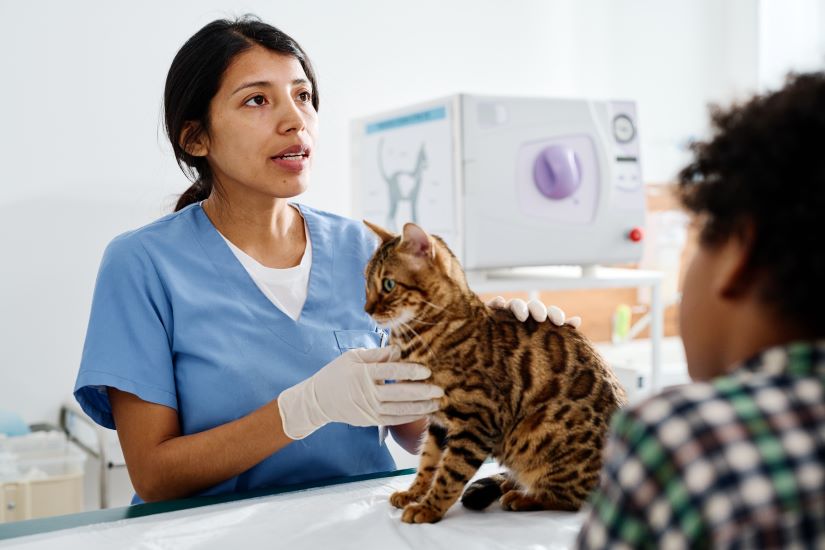 A veterinarian in blue scrubs examines a spotted cat on an examination table, while a person with curly hair watches. To promote sustainable pet ownership, they discuss incorporating an AI pet app to monitor the cat's health and well-being.