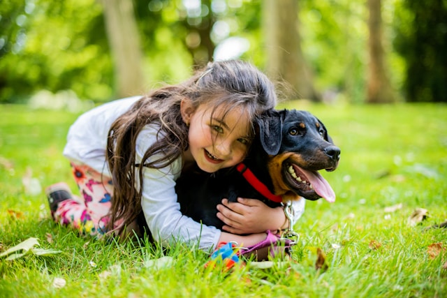 A young girl with long dark hair and a white shirt hugs a black and brown dog with a red collar while lying on green grass in a park, making sure he's all smiles after his recent visit to the vet dentist for dog dental cleaning.