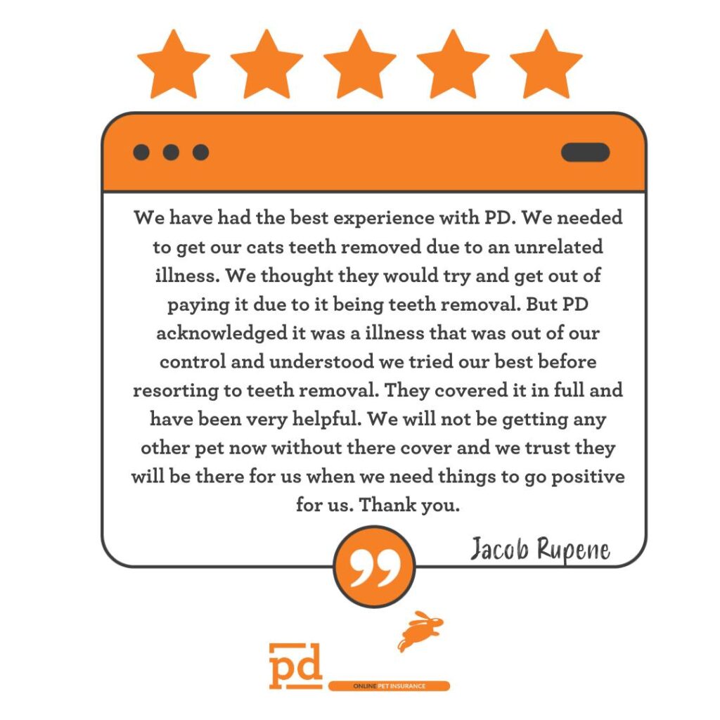 A testimonial praising PD's service for cat teeth removal and pet dental care, highlighting their understanding and support, illustrated with a 5-star rating and the author's name, Jacob Rupene.