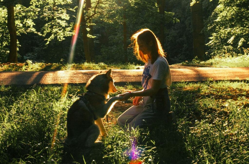 A person kneels on the grass in a sunlit forest, holding a dog's paw. Sun rays filter through the trees as they consider using Cytopoint to treat the dog's atopic dermatitis.