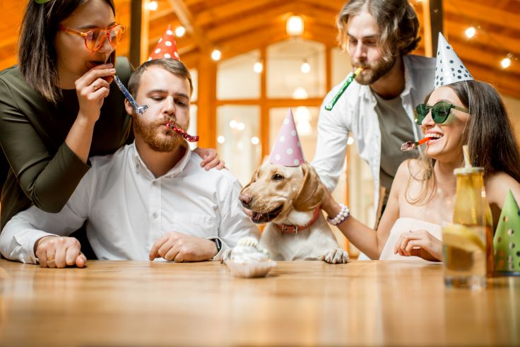 Four people and a dog wearing party hats, gathered around a table with a small cake, celebrating a PD Insurance birthday.
