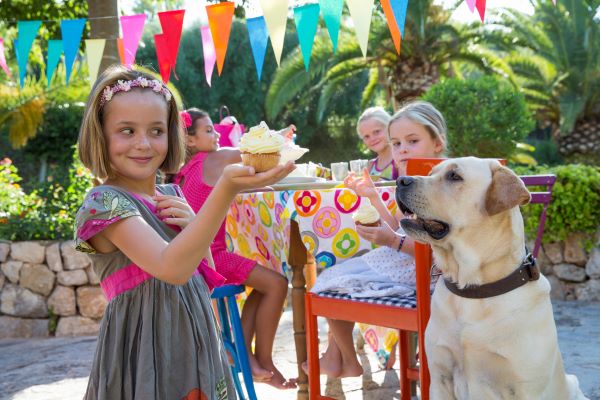 A girl in a gray dress holds a cupcake in front of a dog, celebrating PD Insurance's birthday. Three children are seated at a colorful outdoor table behind her. Brightly colored bunting is hanging above.