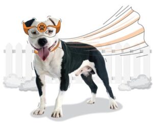 A black and white dog is wearing a superhero mask and cape, standing in front of a cartoon-like white fence, looking like he's ready to celebrate with a dog birthday cake.