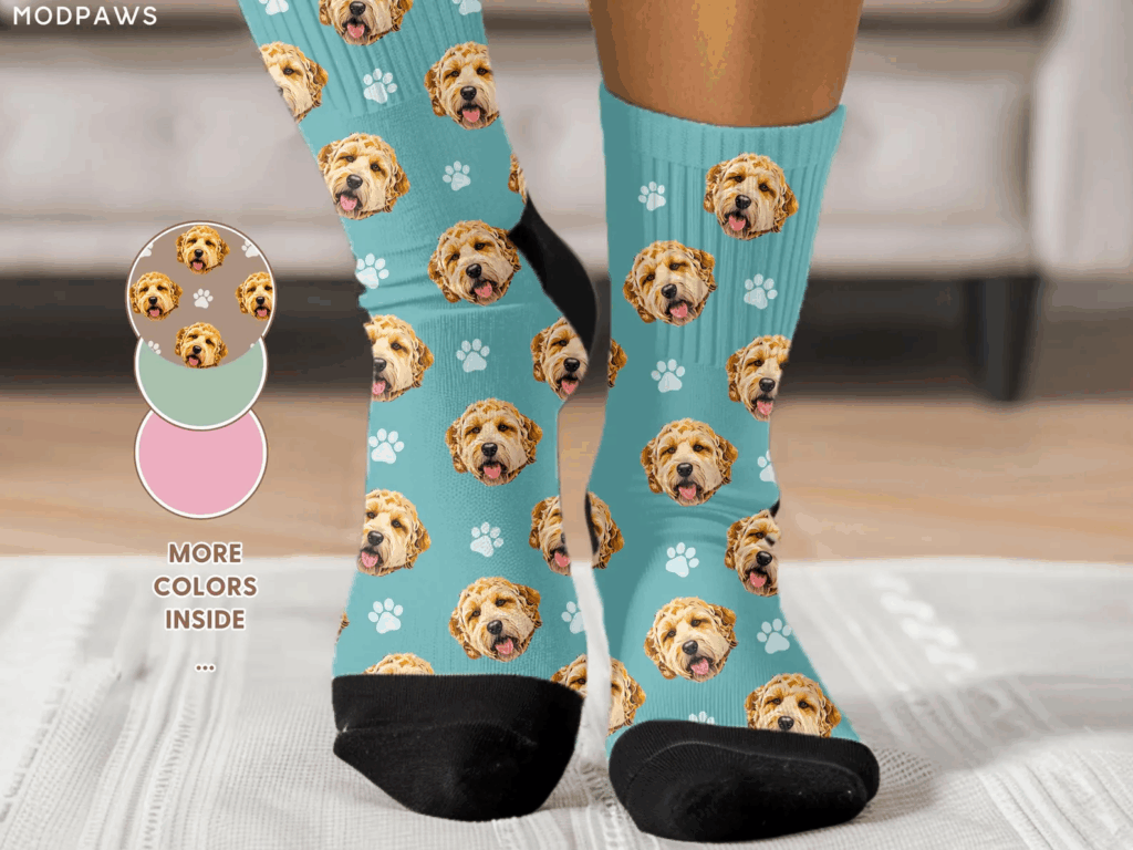 A pair of teal socks with black toes and heels featuring a repeating pattern of a dog's face and white paw prints—perfect gifts for pet lovers. Color swatches are shown on the left.