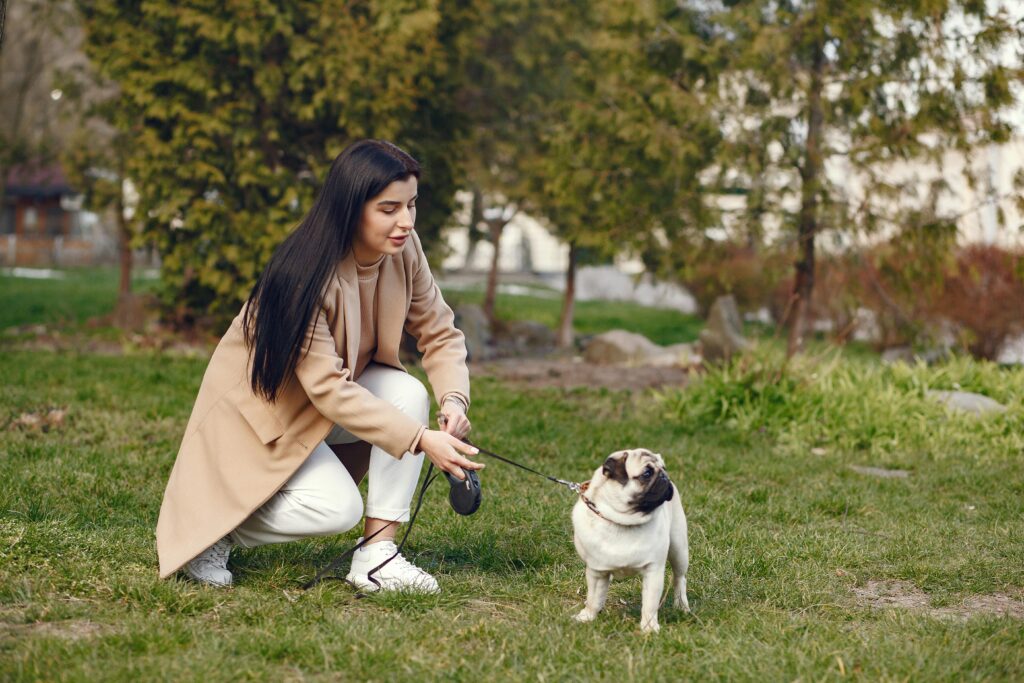 A woman in a beige coat kneels on the grass while holding a leash attached to a small, standing pug in a park, possibly using ChatGPT to enhance their bonding experience. Trees are visible in the background.