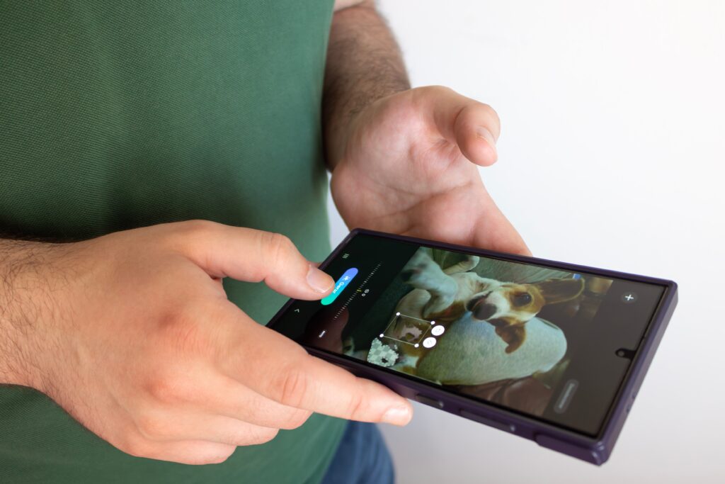 A person in a green shirt is using the AI pet app on their smartphone, capturing a photo of a dog displayed on the phone screen.