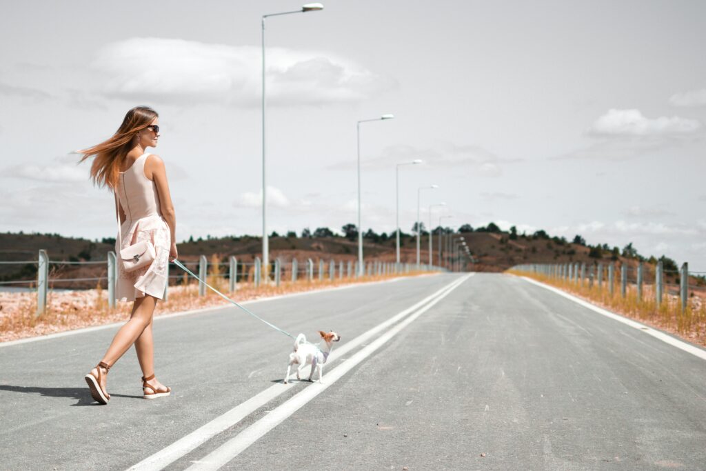 A woman in a light dress walks a small dog on a leash down a deserted NZ road near fields and hills.
