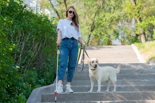 A woman in sunglasses and casual clothing stands on outdoor steps, holding a white cane in one hand and a leash in the other, walking a Labrador Retriever in a leafy area. Celebrate National Guide Dog Month 2024 with this inspiring duo.