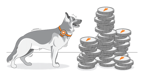 A dog wearing a collar stands next to several stacks of coins featuring a carrot symbol, illustrating insights from a recent pet cost survey.
