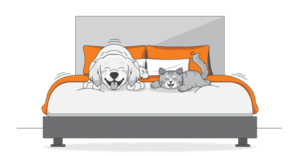 A happy dog and a relaxed cat, the perfect subjects for any Pet Generational Survey, are lying on an orange and white bed.