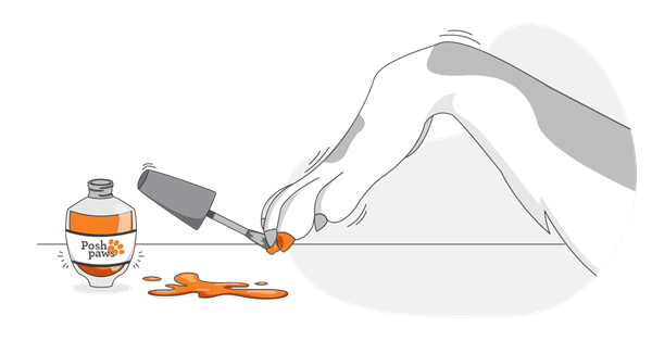 In a trend revealed by the Pet Generational Survey, a dog paints its claws orange with "Posh Paws" nail polish, some of which spills on the surface.