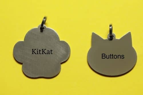 Two pet tags on a yellow background: one shaped like a flower, labeled with the cute cat name "KitKat," and one shaped like a cat's head, labeled "Buttons." Ideal inspirations if you're hunting for adorable kitten names!