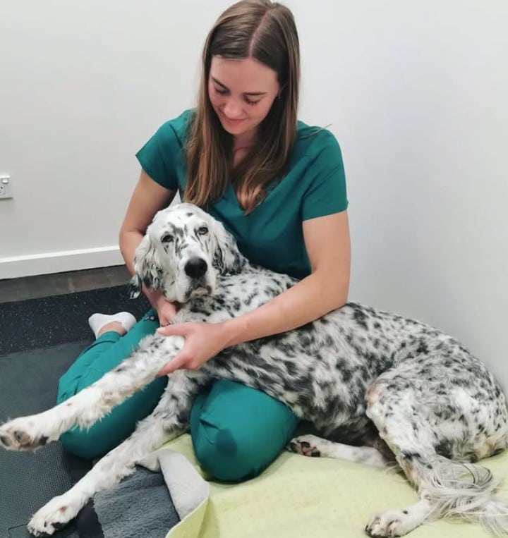 A person in green scrubs is sitting on the floor, gently holding a large, white and black spotted dog in a relaxed pose, showcasing their calm expertise as an osteopath specialized in animal osteopathy.