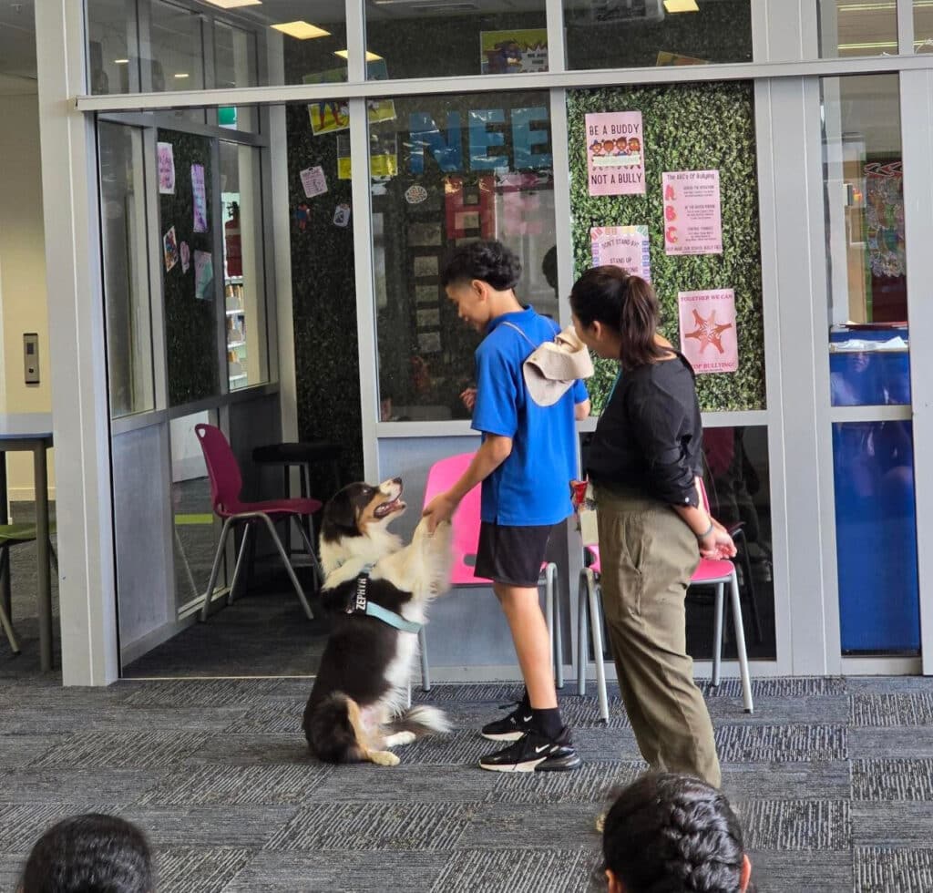 A Great Potentials Foundation support dog wearing a harness sits and extends its paw to a boy in a blue shirt, spreading pawsitivity as a woman stands nearby in a classroom setting.