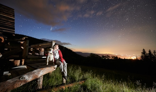 A person and a dog sit on a wooden structure at night, gazing at a star-filled sky where the Matariki star cluster twinkles alongside a comet, with city lights glowing in the distance.