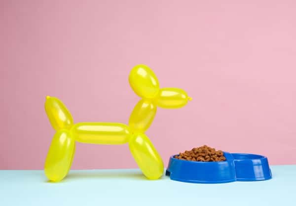 A yellow balloon twisted into the shape of a dog stands next to a blue pet food bowl filled with kibble, against a pink and blue background—reminding us that even playful pups deserve the protection of pet insurance.