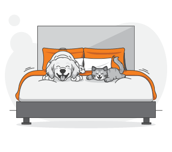 A cartoon dog and cat lie next to each other on a bed with orange pillows and blanket, looking cozy together—just like the friendship often seen in PD Insurance Surveys.
