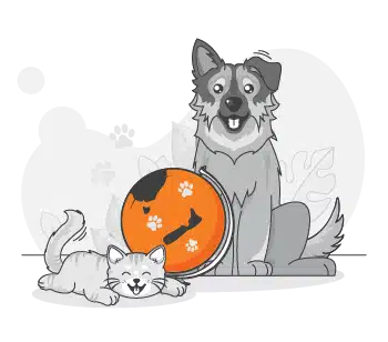 A happy dog sits beside a smiling cat, with both near an orange ball decorated with paw prints—just the kind of joyful moment highlighted in recent PD Insurance Surveys.