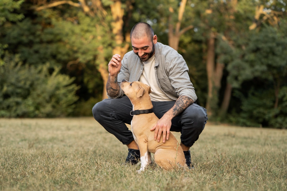 A man crouches on grass, smiling at a tan dog with a black collar, his hand above the dog's head. Trees are visible in the background—perfect inspiration for thoughtful dog dad gifts.