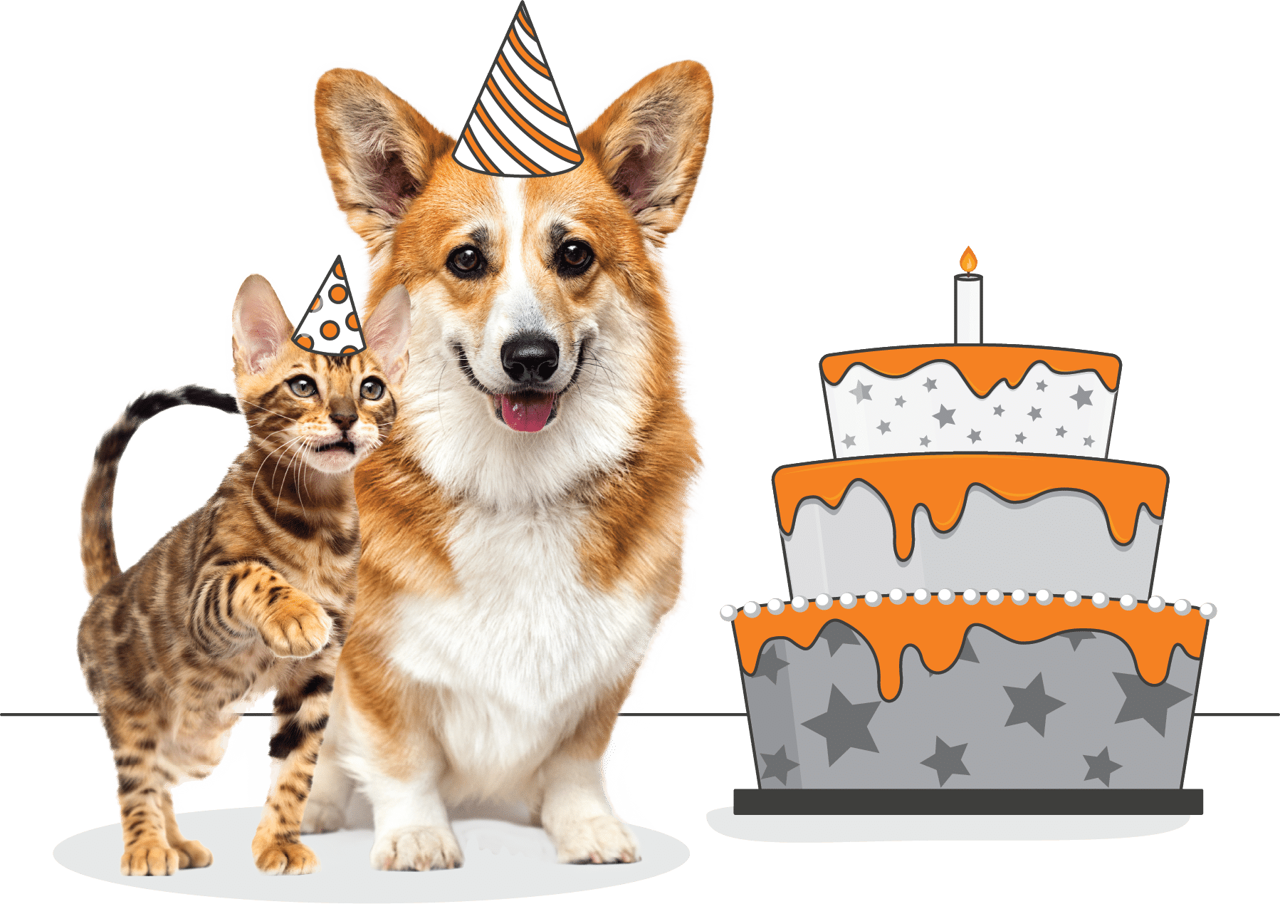 A cat and a dog wearing party hats sit beside a large, decorated birthday cake with one candle on top, ready to celebrate PDTurns5 with their Pet Parents in true Birthday Paws style.