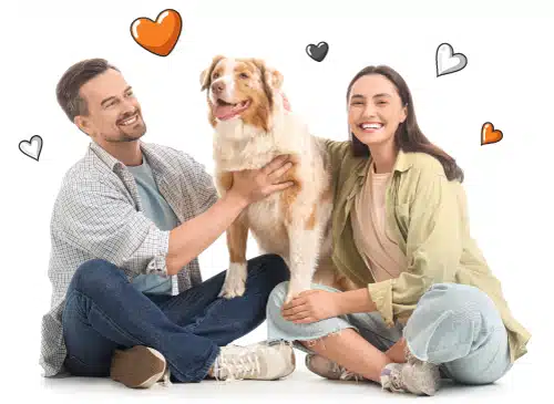 A man and woman sit on the floor smiling with a happy dog between them, surrounded by illustrated hearts, highlighting the joys of having pet insurance NZ on a bright white background.