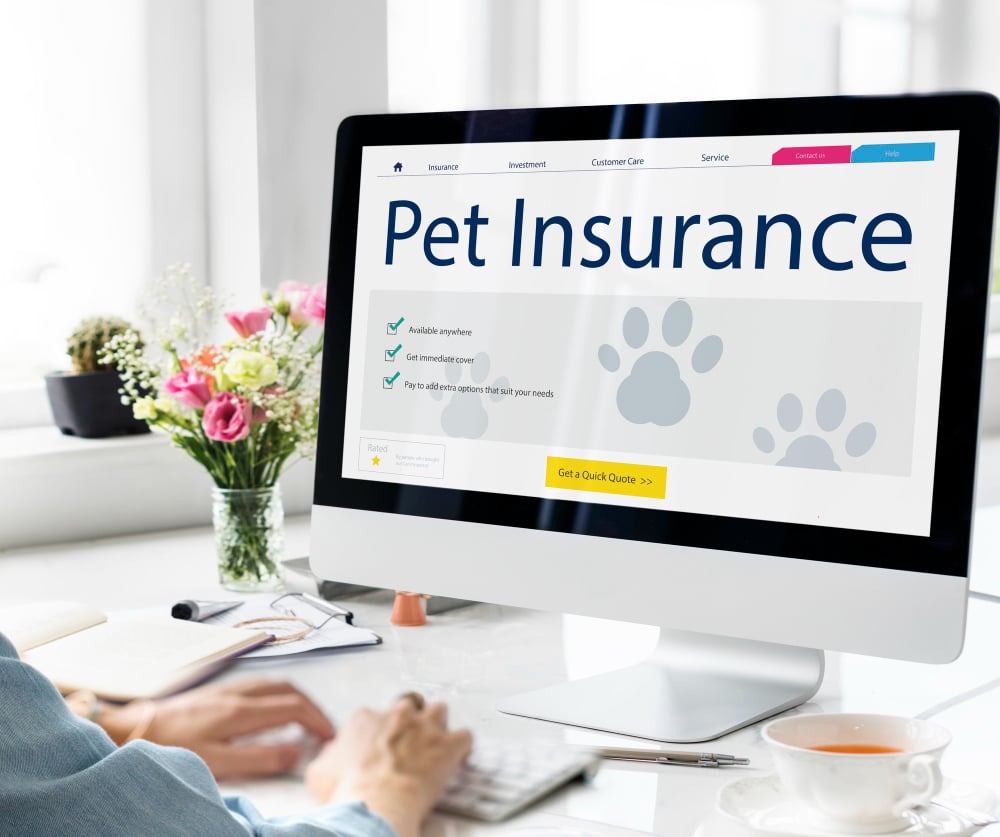A person uses a computer displaying a website for pet insurance, highlighting what makes PD different with text, checkmarks, paw prints, flowers, and office supplies visible on the desk.