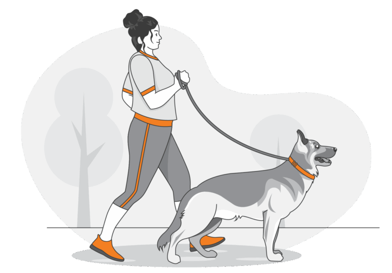 A woman in athletic clothing walks a large dog on a leash outdoors, reflecting the companionship explored in the human-pet bond survey. Both face right, framed by stylized trees in the background.