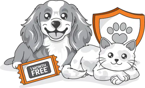A cartoon dog holding a "1 Month Free" ticket sits next to a cat and an orange shield with a paw print, celebrating World Pet Health Month.