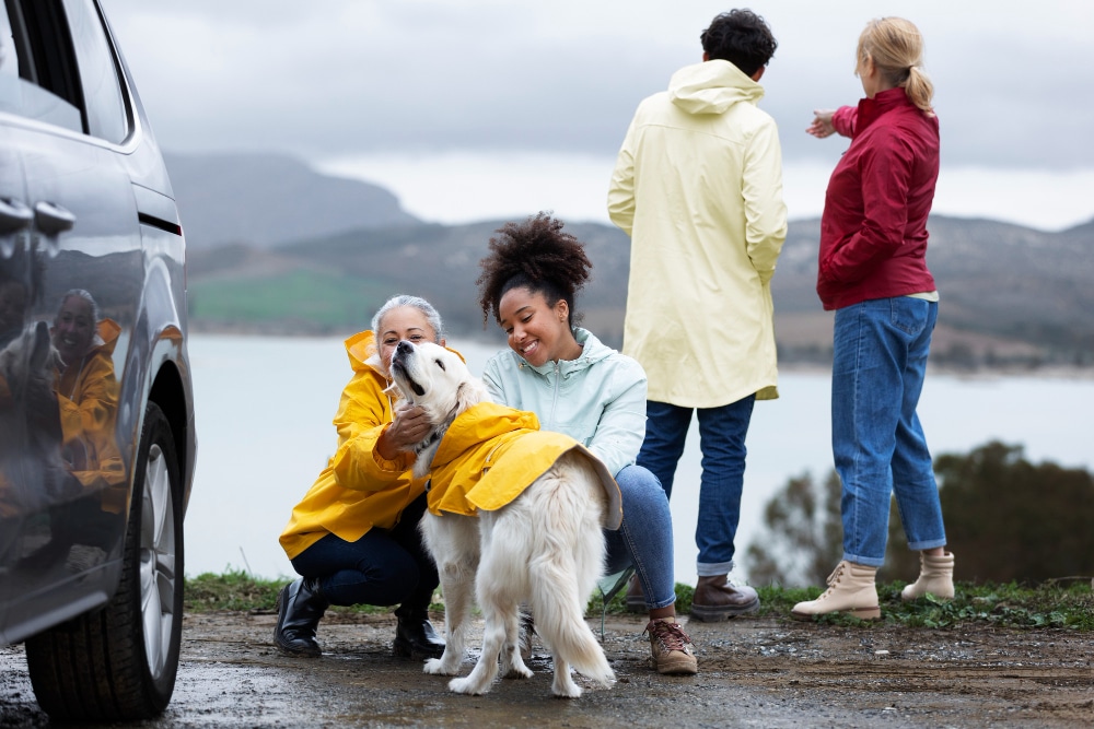 Four people in raincoats and a dog in a yellow raincoat stand by a car near a lake, with two people looking at the water and two interacting with the dog—showing what makes PD different: connection, curiosity, and companionship outdoors.