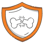 An orange and white shield icon with an image of a broken bone in the center—perfect for your landing page or pricing tables on Wag.
