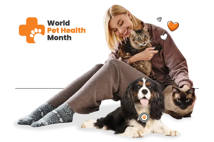 Woman sitting on the floor, smiling, holding a tabby cat, with a Siamese cat and a black-and-white dog wearing a collar tag beside her—celebrating the world pet health month promise to care for her beloved pets.