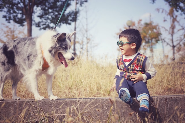 A young boy wearing sunglasses sits on a low wall in a grassy area, smiling at his leashed dog standing beside him, celebrating World Pet Health Month together.