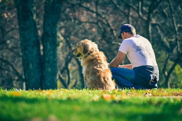 A man wearing a white t-shirt and cap sits on the grass next to a golden retriever in a park with trees in the background, celebrating World Pet Health Month with his furry friend.