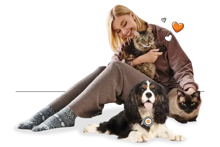 A woman in cozy clothes sits on the floor, holding a cat in her arms, with another cat and a dog sitting in front of her—capturing the spirit of World Pet Health Month promise to care for our pets’ well-being.