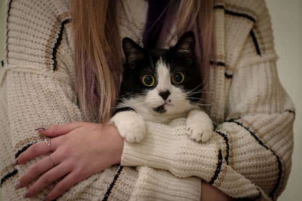 A person with long hair and a cream sweater holds a black and white cat, who looks directly at the camera—perfect for raising awareness during World Pet Health Month.