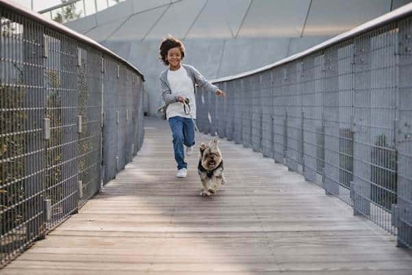 A young child runs across a wooden footbridge while holding the leash of a small, energetic dog, celebrating their bond during World Pet Health Month.