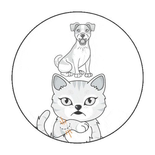 A cartoon dog sits on top of a cartoon cat’s head. The cat, clearly annoyed, scratches its paw—maybe it’s time to look into cat insurance NZ.