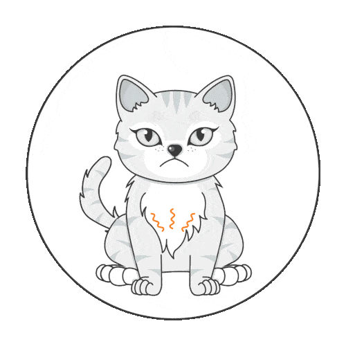 Animated illustration of a gray cat with a serious expression, sitting inside a circle, with orange squiggles on its chest indicating purring or vibration—perfect for promoting cat insurance NZ.
