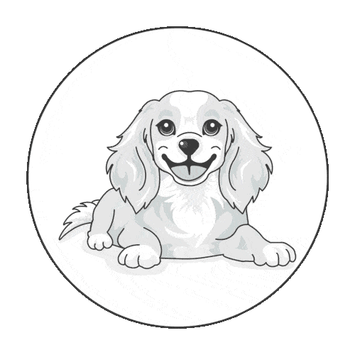 Illustration of a happy, light-colored dog with floppy ears lying down and facing forward, set against a white circle on an orange background—perfect for promoting dog insurance NZ.