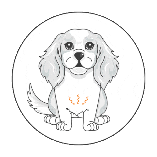 Illustration of a dog sitting with wavy lines on its chest, indicating concern or discomfort, on a white circular background—highlighting the importance of dog insurance NZ for your pet’s health and peace of mind.