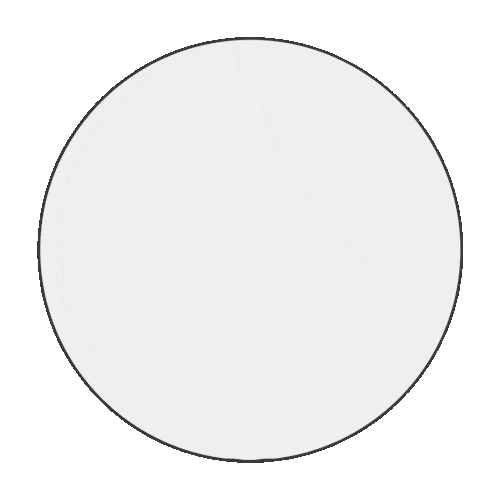 A large white circle is centered on an orange square background, evoking the bright, trustworthy feel often seen in dog insurance NZ branding.