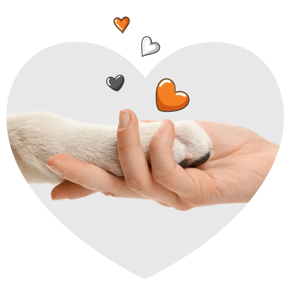 A human hand gently holds a dog's paw, surrounded by small heart icons, inside a heart-shaped frame—perfect for adding warmth to your pet wall.