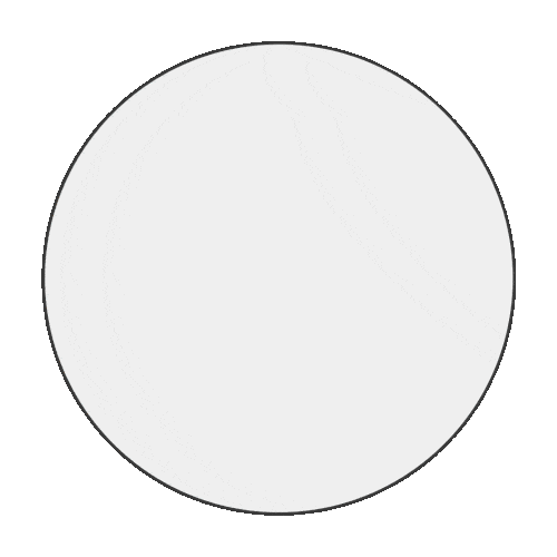 A large, solid light gray circle with a thin black outline on a white background, reminiscent of a logo for pet insurance NZ.