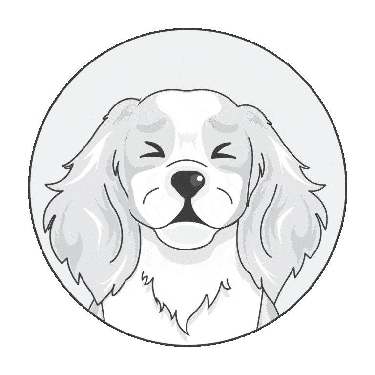 Black and white illustration of a long-haired dog with floppy ears and closed eyes, shown inside a circular frame—perfect for promoting pet insurance NZ.