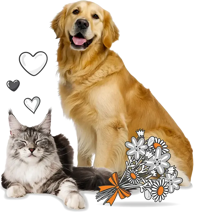A golden retriever sits beside a relaxed gray and white cat, with drawn hearts and a bouquet of illustrated flowers in the foreground—safe together with PD Insurance peace of mind.
