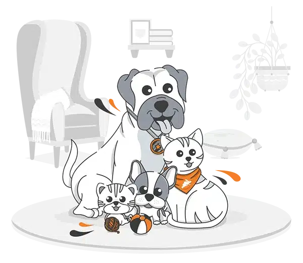 Illustration of two dogs and two cats sitting together indoors, with toys nearby and a sofa and bookshelf in the background—a cozy scene where PD Insurance helps keep your furry friends protected.