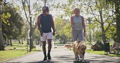 An older man and woman walk together in a park while the woman, mindful of the dog control act review, holds a leash and walks a golden retriever. Trees and benches line the path.