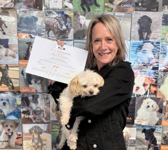 A woman holding a small white dog and a certificate stands in front of a photo wall featuring many different dogs.