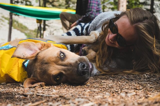 A woman wearing sunglasses lies on the ground outdoors, smiling and petting a large dog in a yellow jacket.