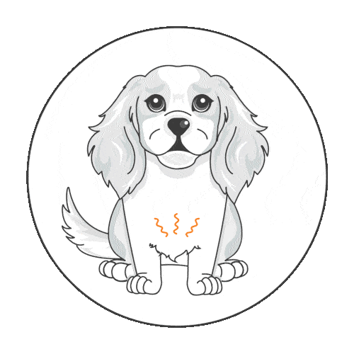 Illustration of a white dog with long ears sitting, showing squiggly orange lines on its chest indicating possible discomfort or pain—a reminder of why dog insurance can help provide peace of mind for pet owners.